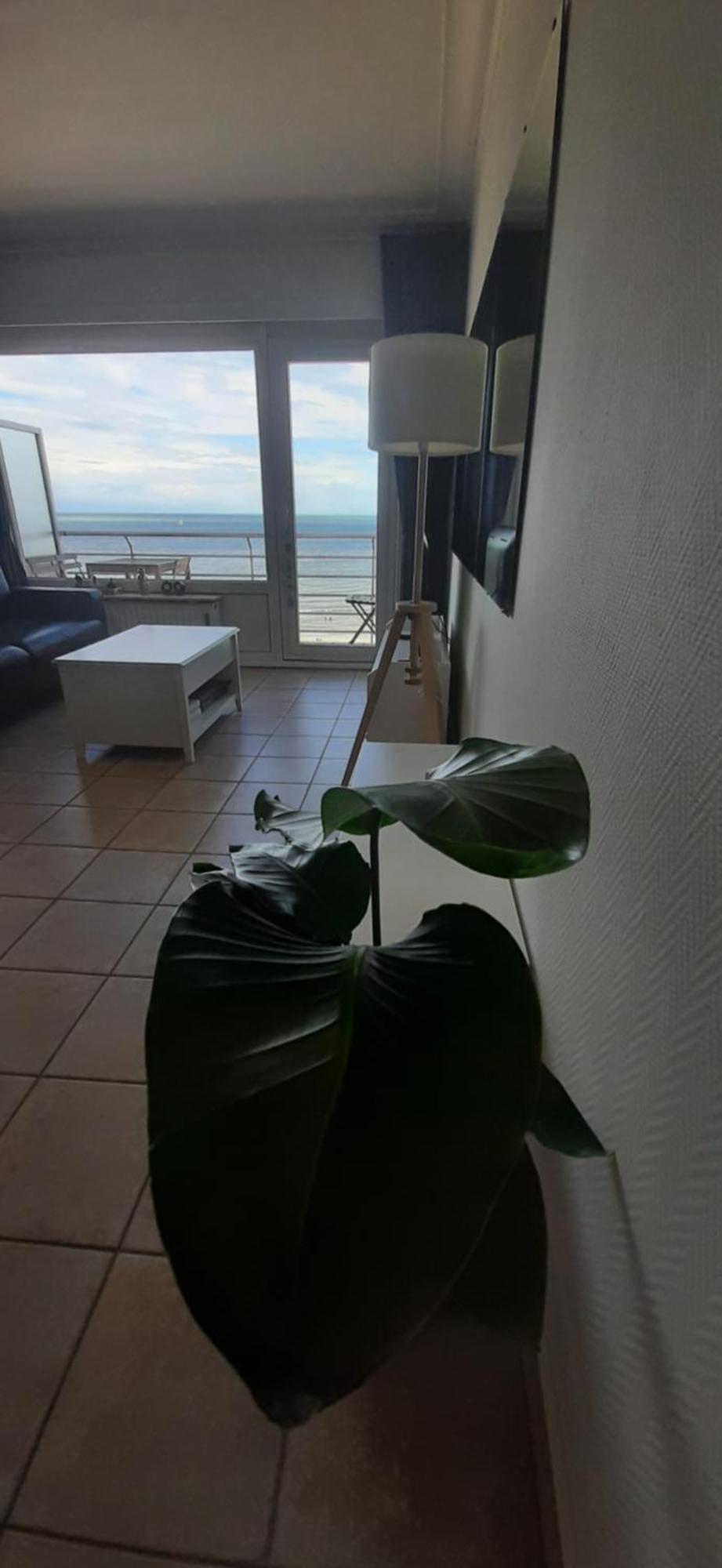 Lo & L'Oo Apartment Ostend Luaran gambar